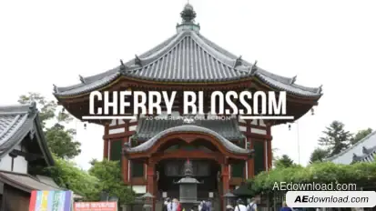 20 Cherry Blossom Overlays Elements template preview