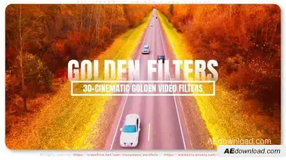 30+ Cinematic Golden Video Filters Elements template preview