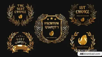 5 Golden Awards Openers template preview