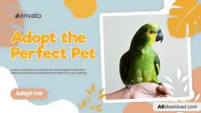Adopt Pet Promo Openers template preview