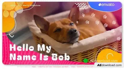 Adopt Pets Mercy Slideshow Video Displays template preview