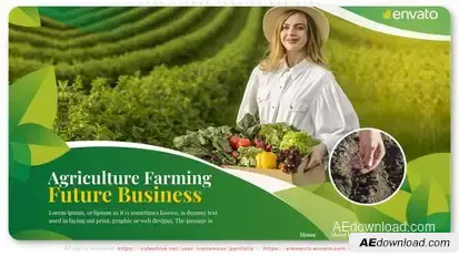 Agriculture Farming Business Video Displays template preview