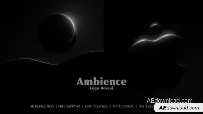 Ambience Logo Reveal Logo Stings template preview