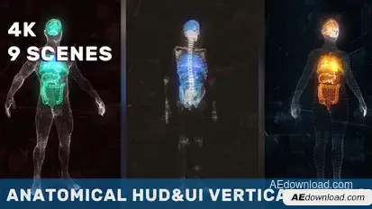Anatomical Vertical HUD UI Titles Titles template preview