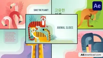 Animal Slides for After Effects Openers template preview