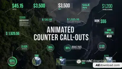 Animated Counter Call-Outs Infographics template preview