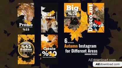 Autumn Instagram Stories Product Promo template preview