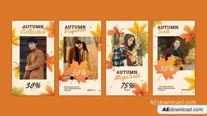 Videohive Autumn Instagram Story 54348327 Openers template preview