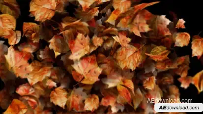 Autumn leaves motion path particles. Particular 6 Required! Openers template preview