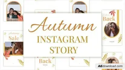 Videohive Autumn Sale Instagram Stories 34308840 Video Displays template preview