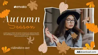 Autumn Style Video Displays template preview