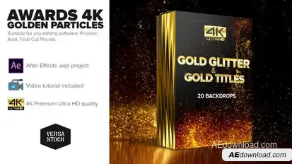 Awards 4K Golden Glitter Particles Titles Titles template preview