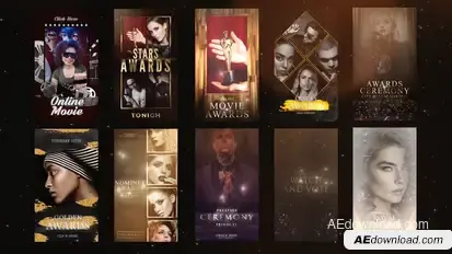 Awards/Gold Luxury Instagram Stories Product Promo template preview