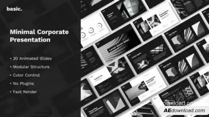 Basic. Minimal Corporate Presentation Video Displays template preview