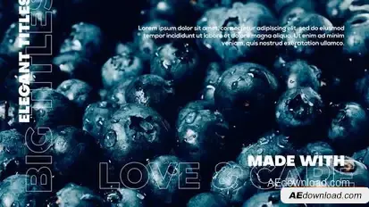 Videohive Big Titles | Essential Typography V.02 Titles template preview