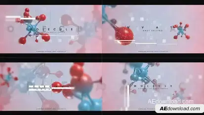 Biological Intro Openers template preview