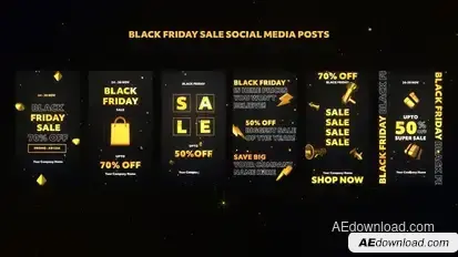 Black Friday Sale Social Media Posts Product Promo template preview