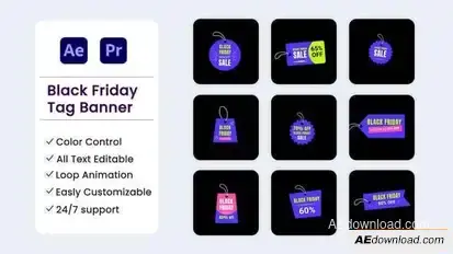 Videohive Black Friday Tag Banner Titles template preview