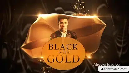 Black with Gold Openers template preview