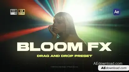 Bloom Overlay Elements template preview