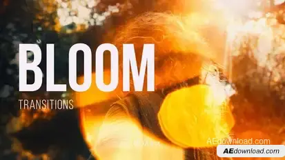 Bloom Transitions for After Effects Elements template preview