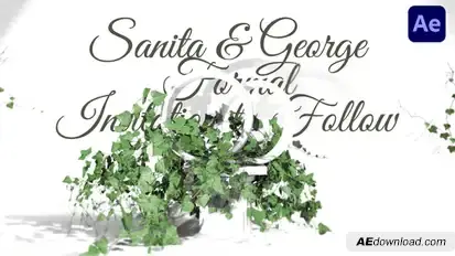 Botanical Leaves Wedding Invitation broadcast-packages template preview