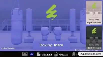 Boxing Intro Logo Stings template preview