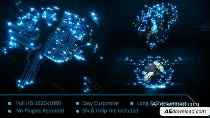 Brain Circuit Reveal Logo Logo Stings template preview