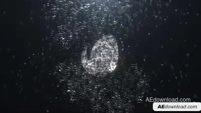 Bubble Splash Reveal Logo Stings template preview