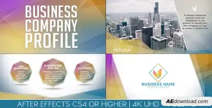 Business Company Profile Video Displays template preview
