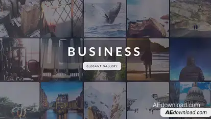 Business | Elegant Gallery Video Displays template preview