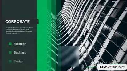 Business Timeline Video Displays template preview