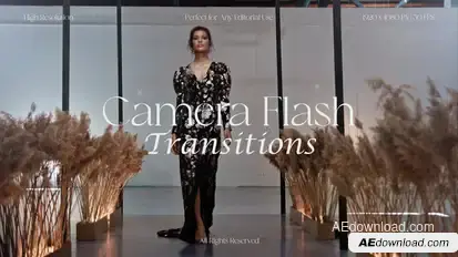 Camera Flash Transitions Elements template preview