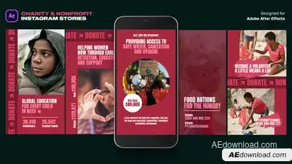 Charity & Nonprofit instagram Stories Product Promo template preview