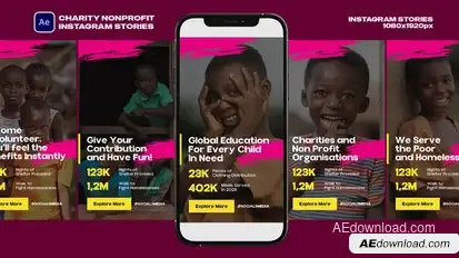 Charity Nonprofit Instagram Stories Product Promo template preview