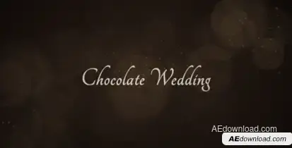 Chocolate Wedding Video Displays template preview