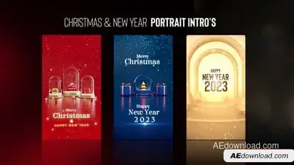 Christmas & New Year Portrait Intros Openers template preview