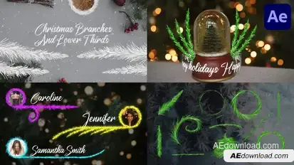 Christmas Branches And Lower Thirds for After Effects Elements template preview