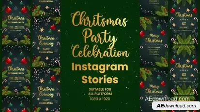 Videohive Christmas Celebration Party Invitation Instagram Stories Openers template preview