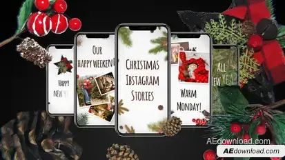 Christmas Instagram Stories Product Promo template preview