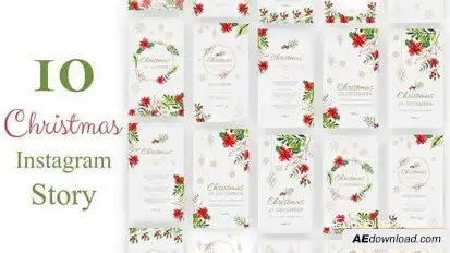 Videohive Christmas Instagram Stories 34766082 Video Displays template preview