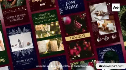 Christmas Instagram Stories Product Promo template preview