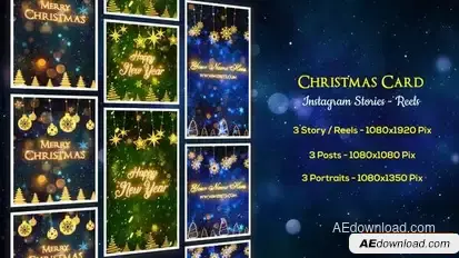 Christmas Wishes - Instagram Stories Openers template preview