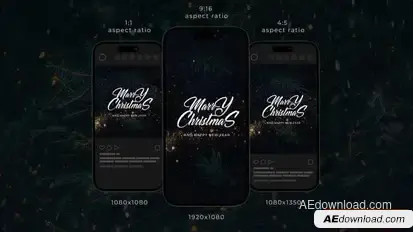 Christmas Wishes Instagram Stories Openers template preview