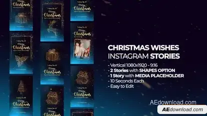 Christmas Wishes Instagram Stories Openers template preview