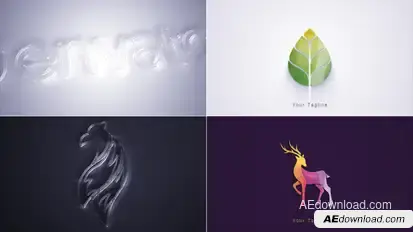 Clean Elegant Logo Reveal Logo Stings template preview