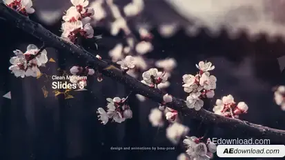 Clean Modern Slides 3 Video Displays template preview
