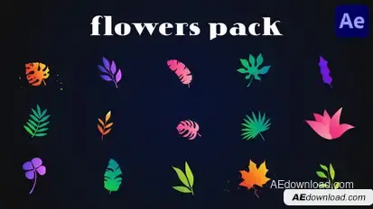 Colorful Flowers Pack for After Effects Elements template preview
