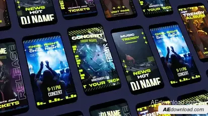 Concert Instagram Stories Video Displays template preview