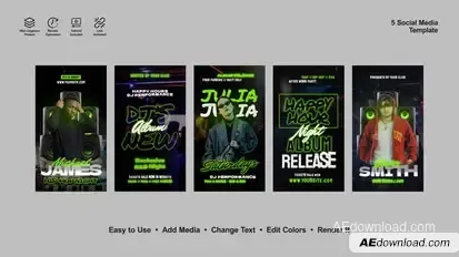Concert Party Instagram Stories Product Promo template preview